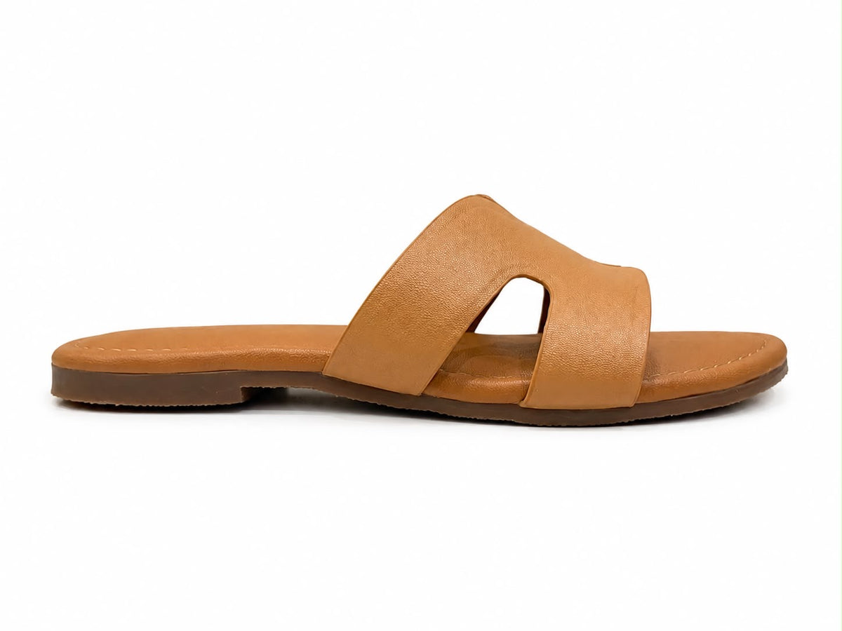 Horizon Slides