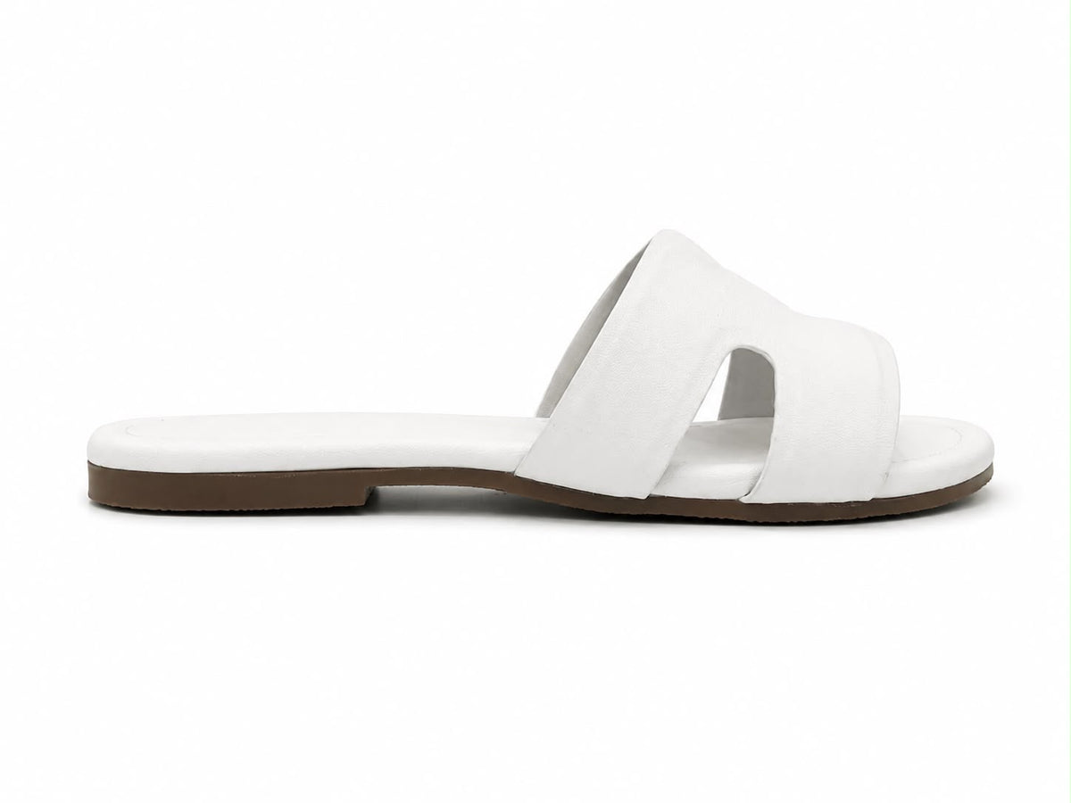 Horizon Slides